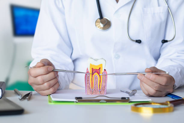 Best Emergency Root Canal Treatment in Cypress Quarters, FL